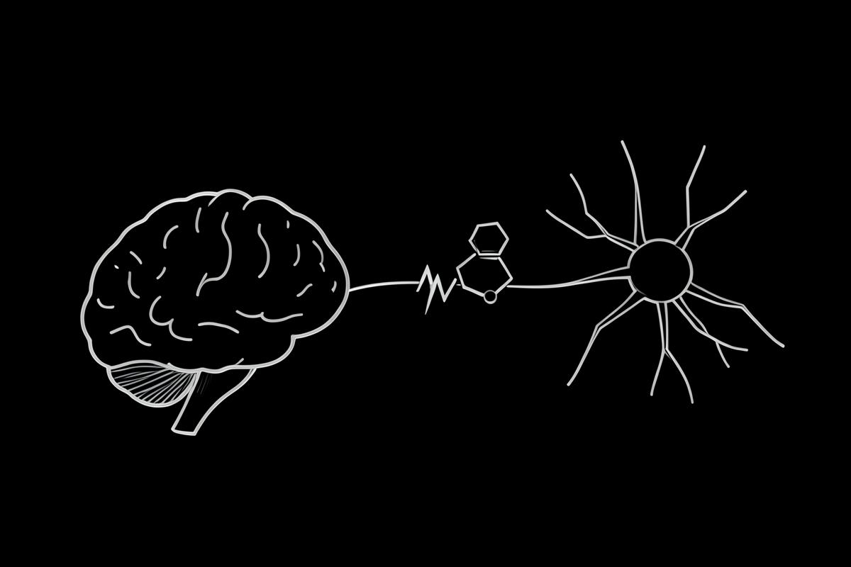 Line-art diagram on black showing a brain connected through a signalling node to a neuron