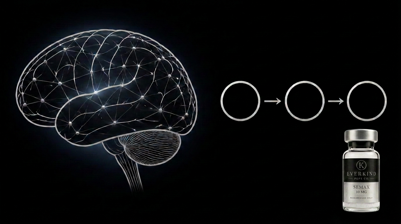 Line-art brain with a neural network and a three-step signalling pathway diagram
